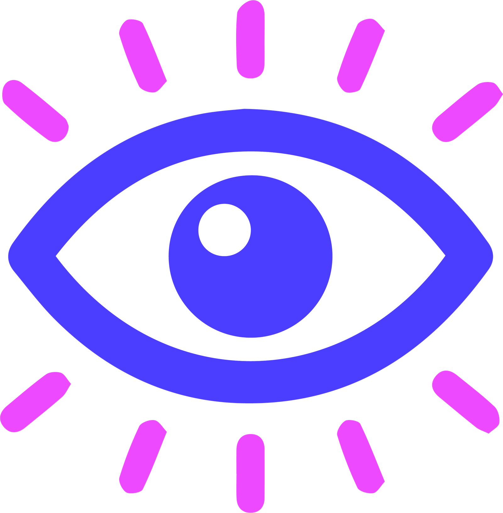 Vision